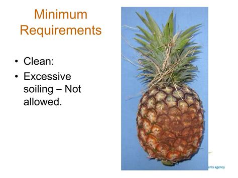 Ppt Pineapples Powerpoint Presentation Free Download Id4265322