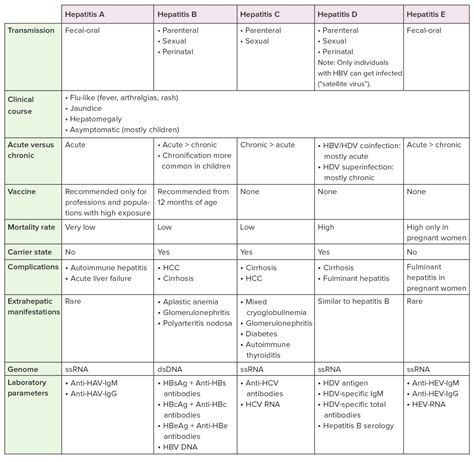 Hepatitis B Virus Klassifikation Therapie Lecturio