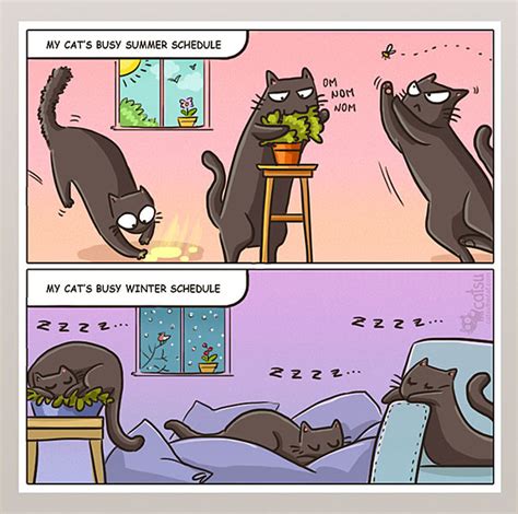 comics  purrfectly capture life  cats bored panda