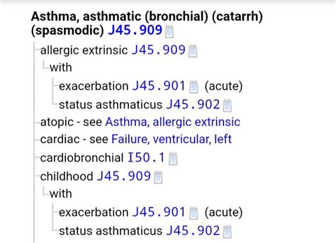 Asthma Icd 10 Coding Guidelines Along With Examples