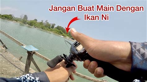 Casting Di Kolam Juru Fishing Sport YouTube