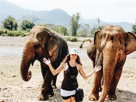 Day Journey To The Elephant Nature Park In Chiang Mai Workresearchlive