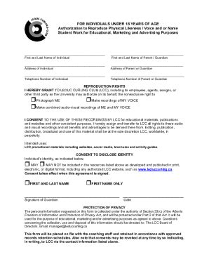 Fillable Online Use Of Likeness And Work Product Form Sample Fax