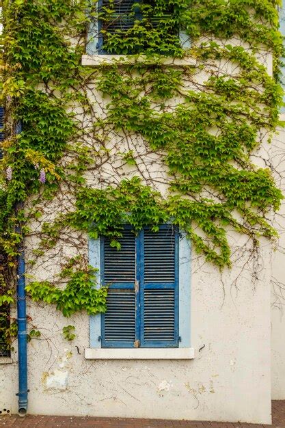 Janelas fechadas de madeira de cor azul na parede de um prédio coberto