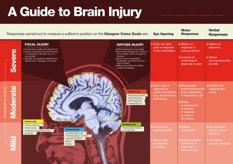 A Guide To Brain Injury Infographic Brain Injury Brain Traumatic