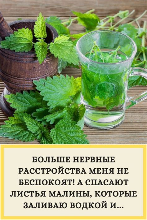 Много интересного и полезного | Советы, Диета для быстрого метаболизма ...