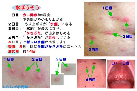 施設案内 くらしげ小児科