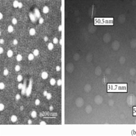 Elastic Fiber Structure Changing The Pattern Of Bonds Between Elastin
