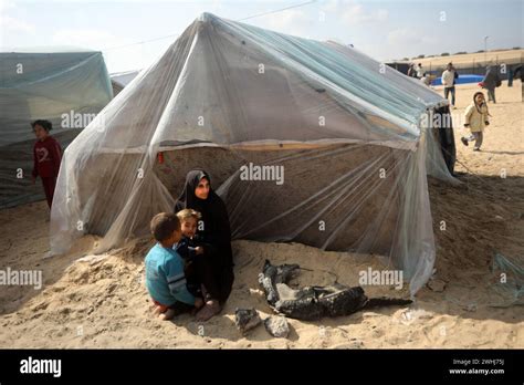 Rafah Gaza Th Feb A Displaced Palestinian Woman Sits In