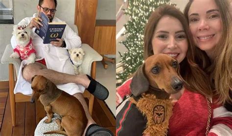 Ap S Ser Adotado Cachorro Que Foi Enterrado Vivo Faz Sucesso Na Web E