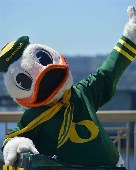 Oregon Ducks Mascot Oregon Ducks Logo Oregon Ducks Oregon Ducks