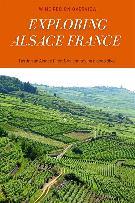 Alsace France Wine Region Overview Plus Pinot Gris Review Cork And