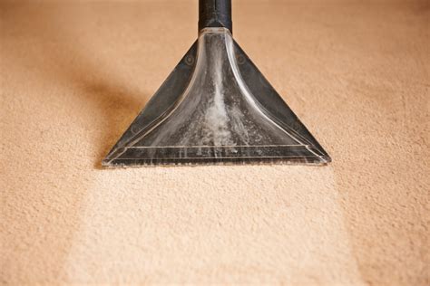 Why You Should Hire A Carpet Cleaning Service Fresh Carpet Cleaning