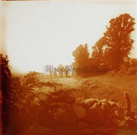 FRANCE Saint Jean du Doigt Paysage 1911 Finistère Photo Stereo Plaque