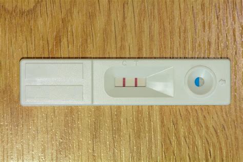 Positive pregnancy test 7441700 Stock Photo at Vecteezy