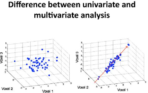 This Simple Figure Describes The Difference Between Univariate And