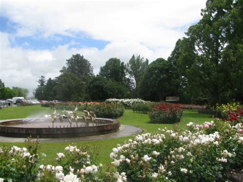 Te Awamutu Rose Garden - The New Zealand Rose Society