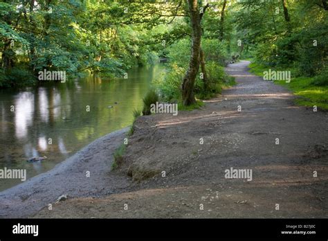 River Lynher Near Cadsonbury Fort Cornwall Stock Photo Alamy