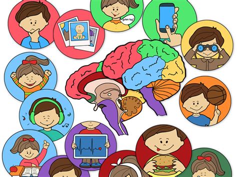 Brain Clip Art Brain Function Teaching Resources