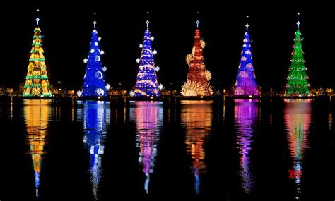 Rio de Janeiro lights up world's tallest floating Christmas tree - Social News XYZ