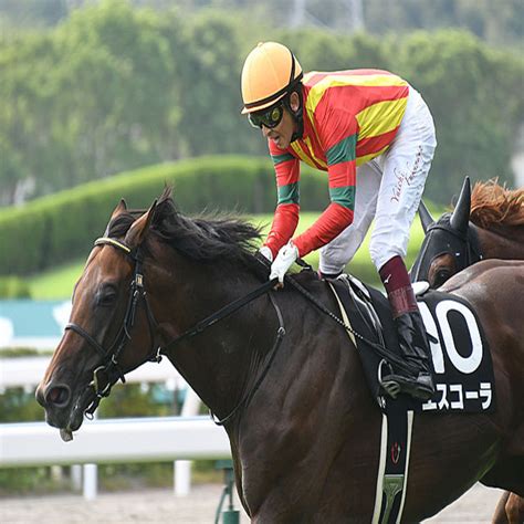 【jra・win5】1番人気が3勝し、的中1万337票、配当4万3720円 2022年8月14日掲載 ライブドアニュース