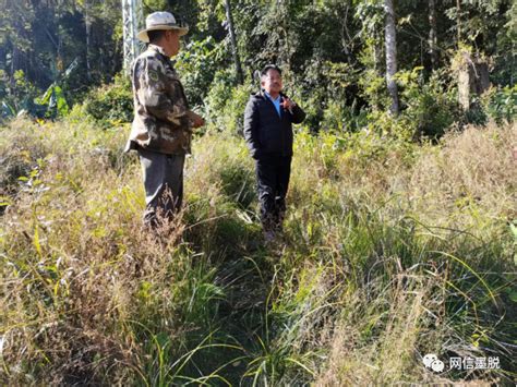 白玛多吉在背崩乡格林新村、甘登乡甘登村搬迁点开展林长制包联区域巡林工作 腾讯新闻