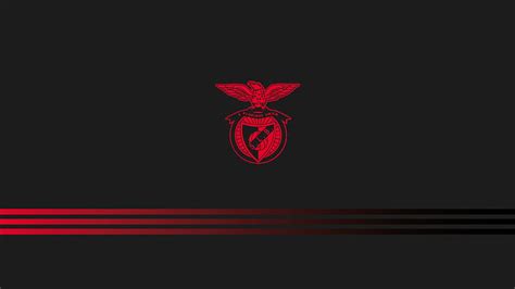 Zaynof Sl Benfica Hd Wallpaper Pxfuel