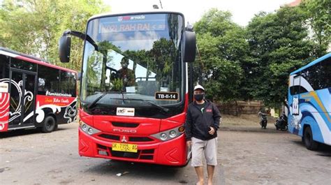 Teman Bus Denpasar Tranportasi Keren Dalam Kota 3835info