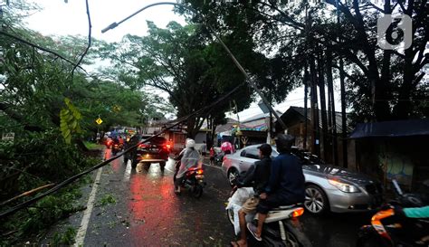 Hujan Es Disertai Angin Kencang Sebabkan Pohon Tumbang Di Sawangan