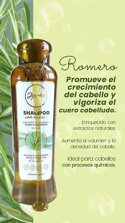 Detén La Caída Del Cabello Con El Poder Del Romero Shampoo Cabello