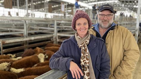 Mortlake Store Cattle Sale Yarding Surges To 4000 The Weekly Times