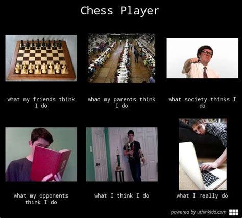 The Best Chess Memes Memedroid