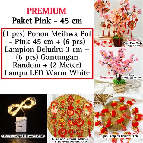 Jual POHON BUNGA MEIHWA POT SINCIA POHON BUNGA SAKURA MEIHUA VAS DAUN