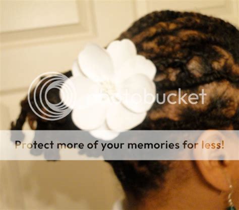 Loc Rocker Braided Locs Part Ii
