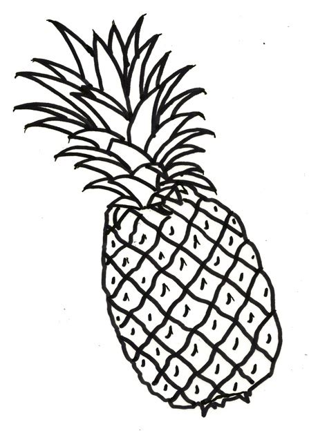 Pineapple Drawing Clip Art At Getdrawings Free Download