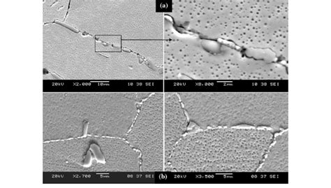 Microstructure Of Samples Heat Treated At 1000 C For A 25 H B 100 H