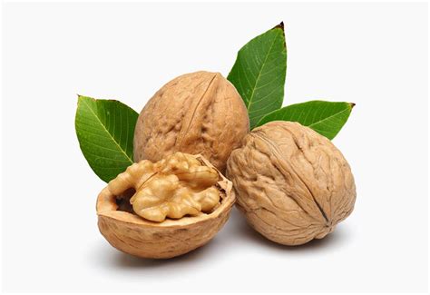 goutez les noix domaines delmas decouvrez nos differentes varietes