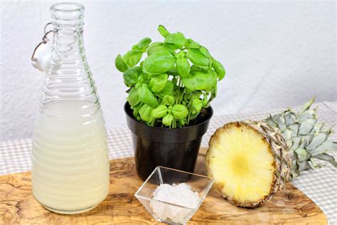 Pineapple Kiss Kefir Smoothie A Fresh And Fruity Water Kefir Drink