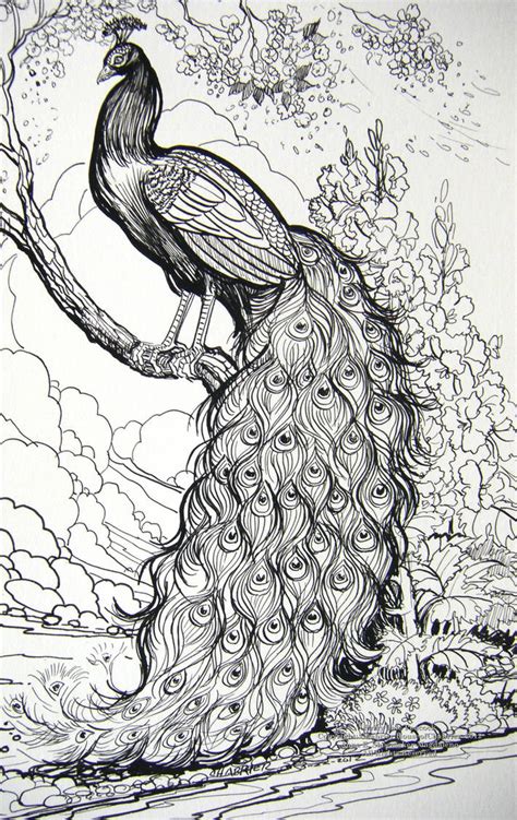 Fairy Tale Peacock By Houseofchabrier On Deviantart