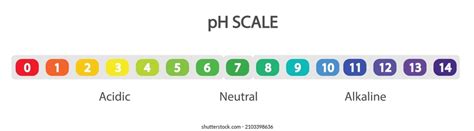 24 Ph Scale Baking Images, Stock Photos, 3D objects, & Vectors ...