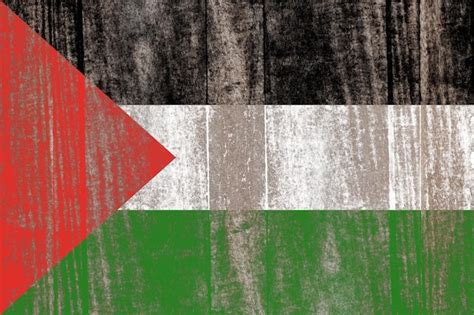 Historia Bandeira Palestina Imagens – Download Grátis no Freepik