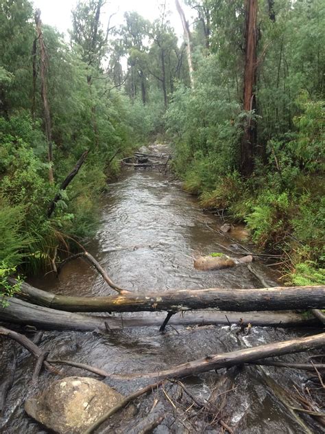 Camping At Murrindindi Victoria Australia Hiking Tracks Waterfall