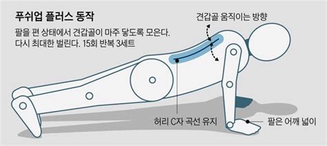 엎드린 후 견갑골 모으기 어깨 안정시켜 당신의 건강가이드 헬스조선