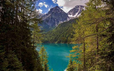 4560909 Trees Nature Water Mountains Turquoise Forest Italy