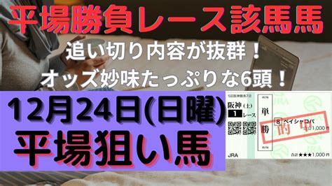 【競馬予想】12月24日（日曜）平場勝負レース該当馬6レース！追い切り内容が抜群＋オッズ的にも面白そうな6頭！ 競馬動画まとめ