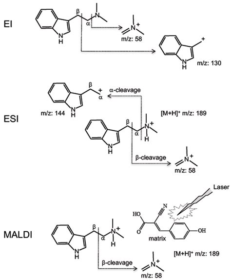 Applied Sciences Free Full Text Comparison Of The Characteristic