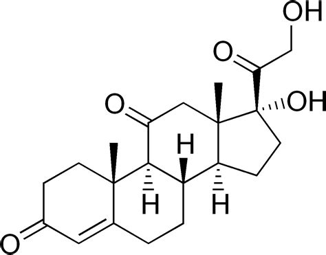 File:Cortisone structure.png