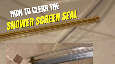 How To Clean The Shower Screen Seal Shower Screen Deep Clean Youtube