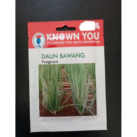 Jual Biji Benih Daun Bawang Fragrant Known You Seed Kemasan Repack