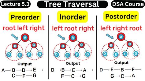 Tree Traversal In Data Structure Preorder Postorder Inorder DSA